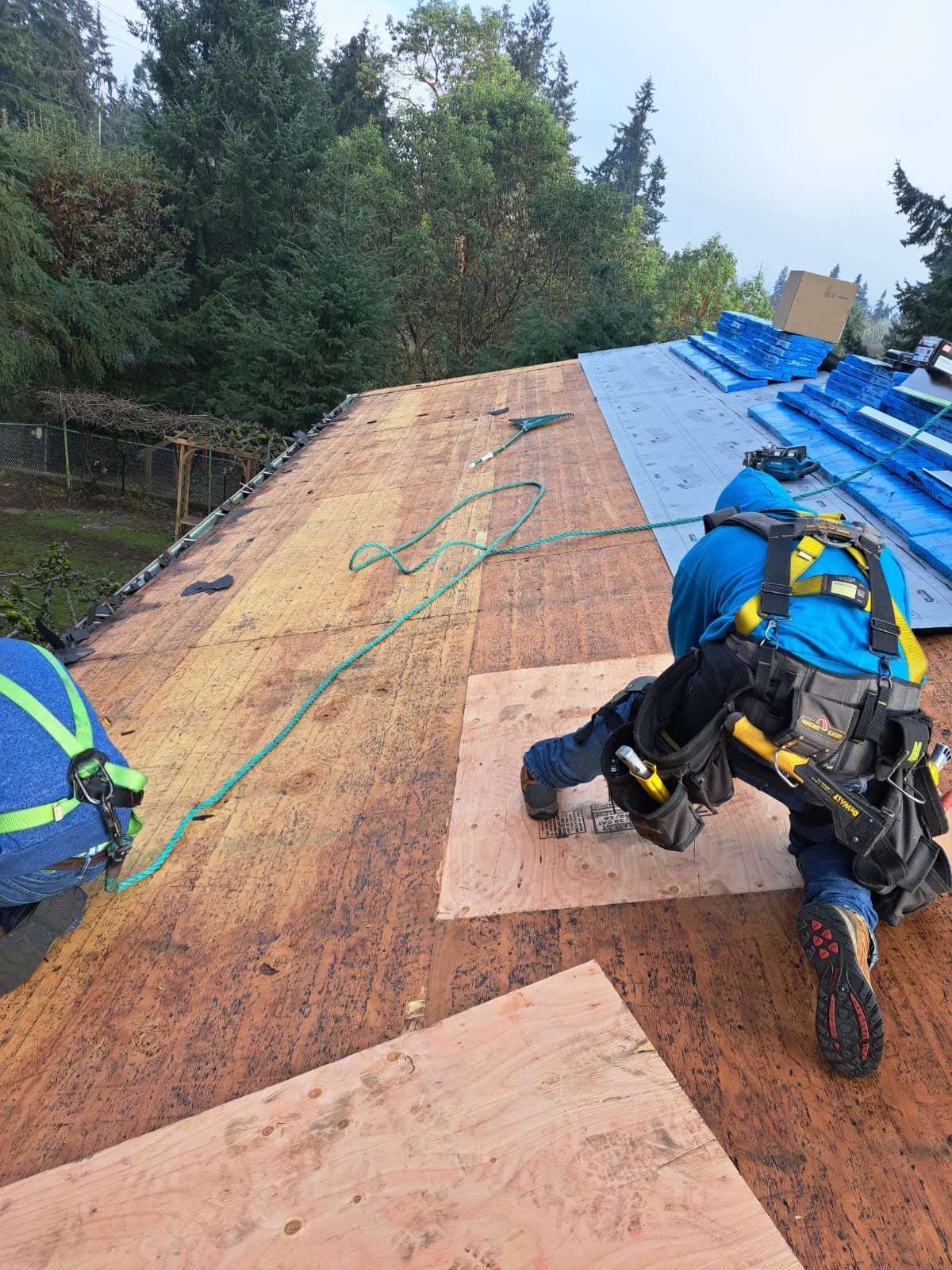 New Construction